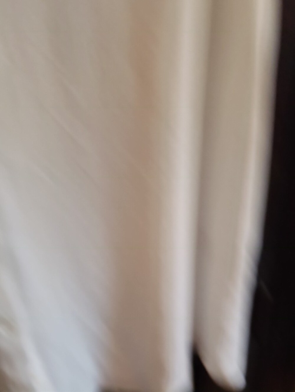 Current Air Sleeveless Button-Front Blouse in Pale Ivory - Picture 5 of 6